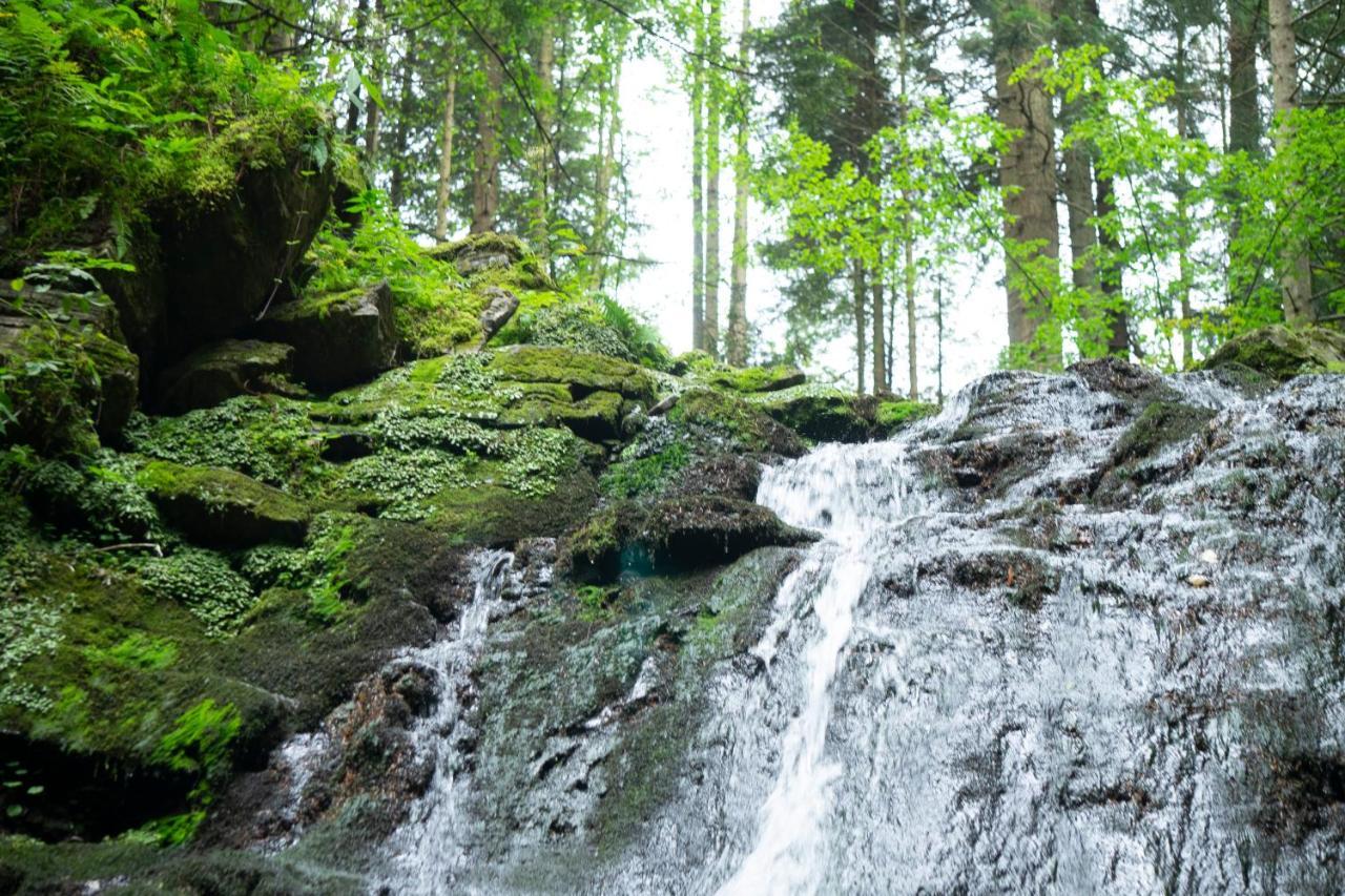 U Dvori Hotel Pidhorodci Kültér fotó